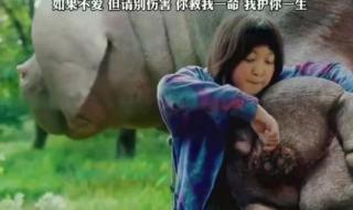 如果你爱我就别伤害我