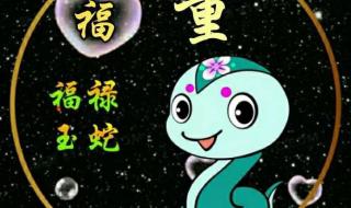 能带来好运的微信头像